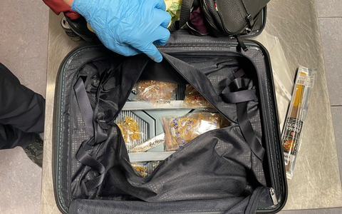 HZA-S: Goldschmuggel - Rekordmenge am Flughafen Stuttgart entdeckt - Foto: presseportal.de