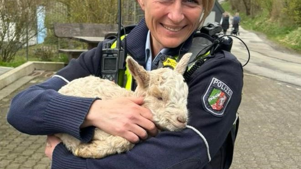 POL-MK: Liegengeblieben - Foto: presseportal.de