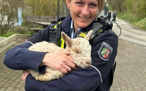 POL-MK: Liegengeblieben - Foto: presseportal.de