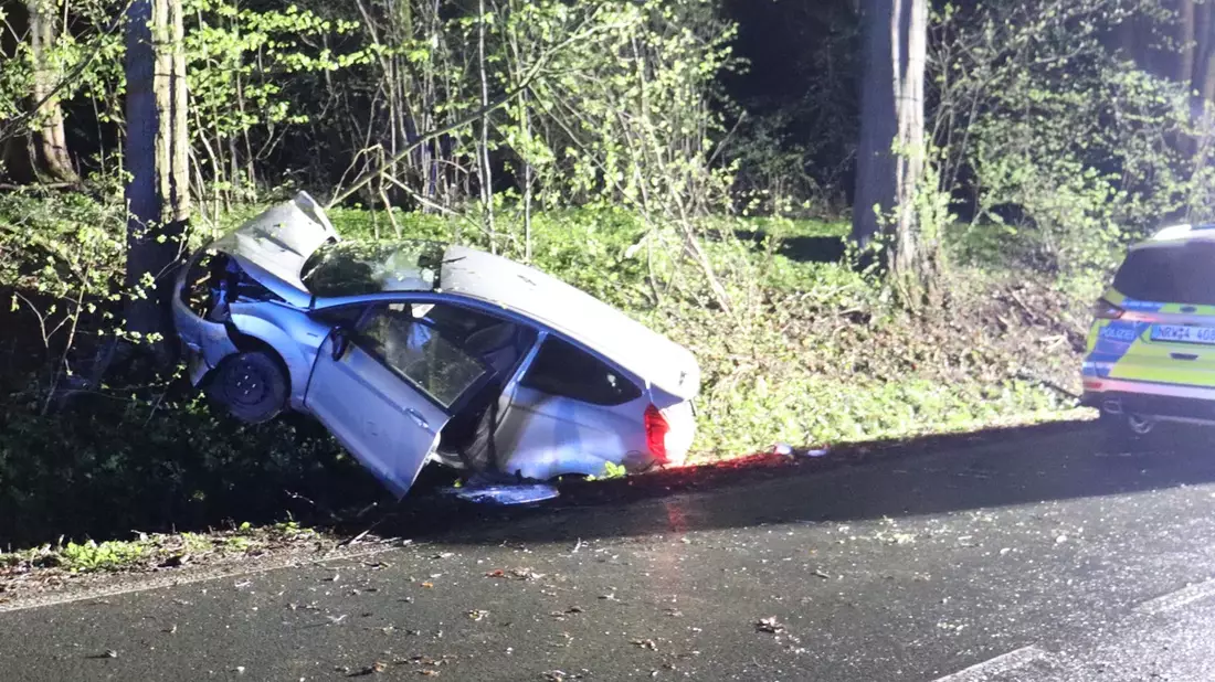 POL-HF: Ford prallt gegen Baum - Unfallbeteiligter und Zeugen gesucht - Bild: presseportal.de