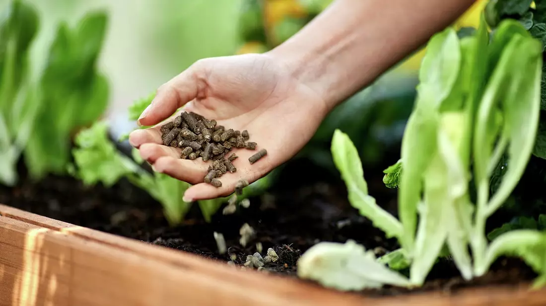 Frühjahrsdüngung: So sorgen Gartenfans für blühendes Leben - Bild: presseportal.de