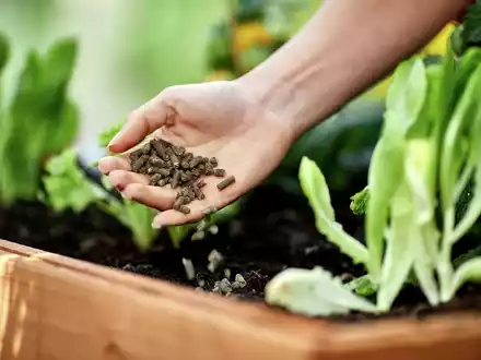 Frühjahrsdüngung: So sorgen Gartenfans für blühendes Leben - Foto: presseportal.de