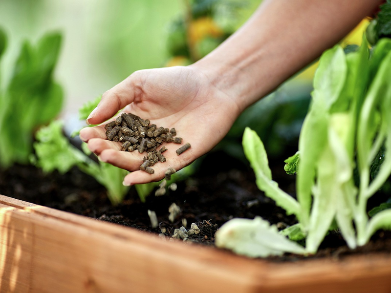 Frühjahrsdüngung: So sorgen Gartenfans für blühendes Leben - Foto: presseportal.de