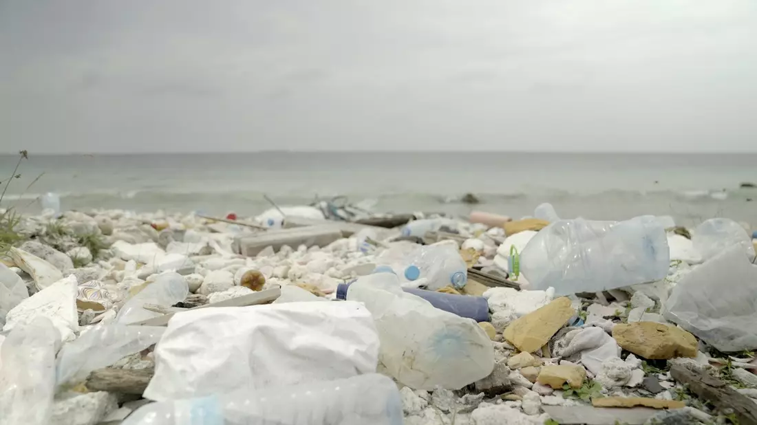 Recherche-Ergebnisse von ZDF und Flip: Adidas trennt sich von Parley for the Oceans und stellt Produkte mit Parley-Ozeanplastik ein - Bild: presseportal.de