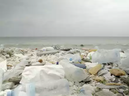 Recherche-Ergebnisse von ZDF und Flip: Adidas trennt sich von Parley for the Oceans und stellt Produkte mit Parley-Ozeanplastik ein - Foto: presseportal.de