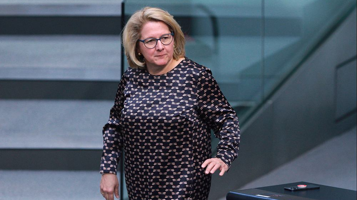 Svenja Schulze (Archiv) - Foto: über dts Nachrichtenagentur