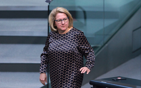 Svenja Schulze (Archiv) - Foto: über dts Nachrichtenagentur