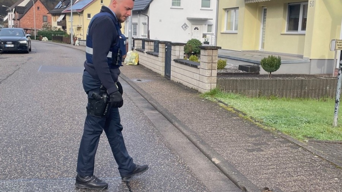 POL-PDPS: Drei Leben gerettet - Ente gut, alles gut! - Foto: presseportal.de