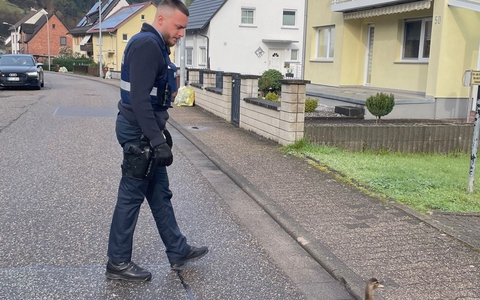 POL-PDPS: Drei Leben gerettet - Ente gut, alles gut! - Foto: presseportal.de