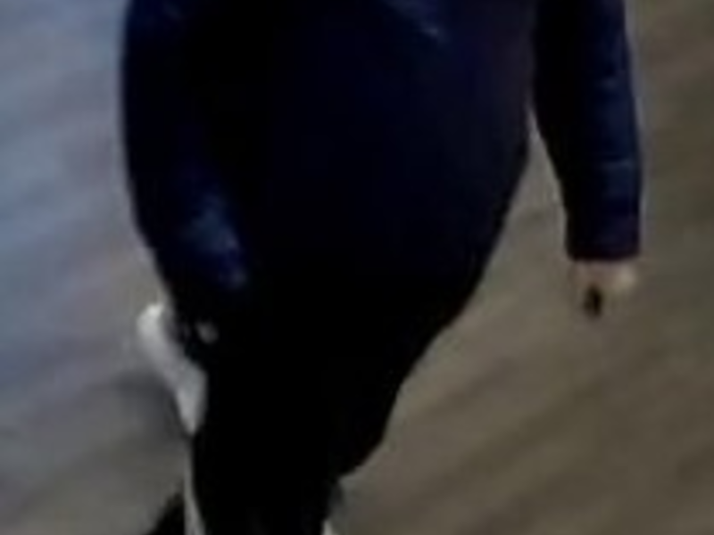 POL-HR: ÖFFENTLICHKEITSFAHNDUNG nach Verdacht des mehrfachen Betruges - Foto: presseportal.de