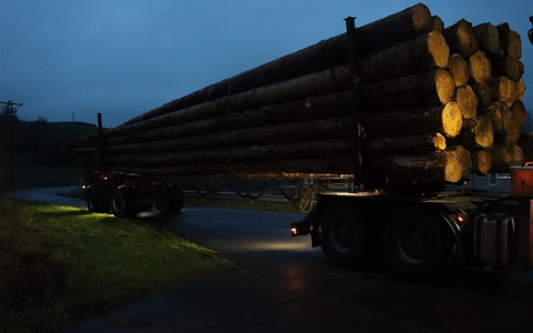 POL-PPTR: Autotransporter und Langholztransport viel zu schwer durch die Eifel unterwegs - Foto: presseportal.de POL-PPTR: Autotransporter und Langholztransport viel zu schwer durch die Eifel unterwegs - Foto: presseportal.de