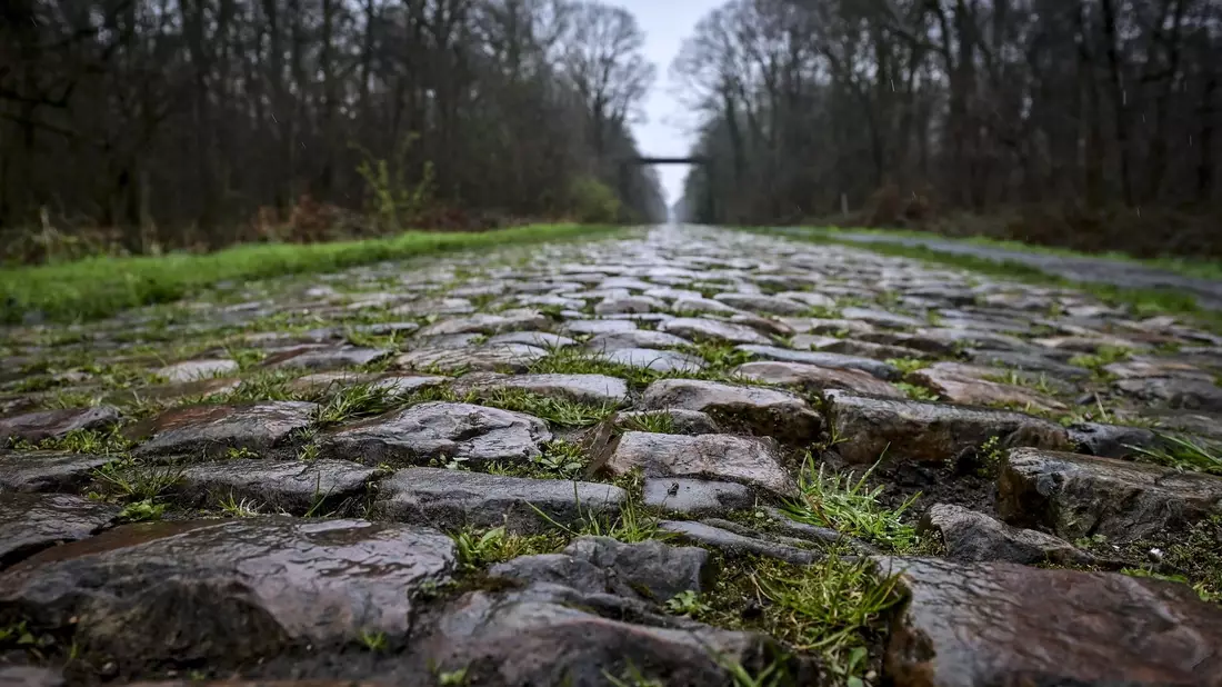 Der Rad-Klassiker Paris-Roubaix findet am Sonntag statt. Vor dem Arenberg-Wald soll nun eine Schikane das Fahrerfeld abbremsen. - Bild: Dirk Waem/Belga/dpa