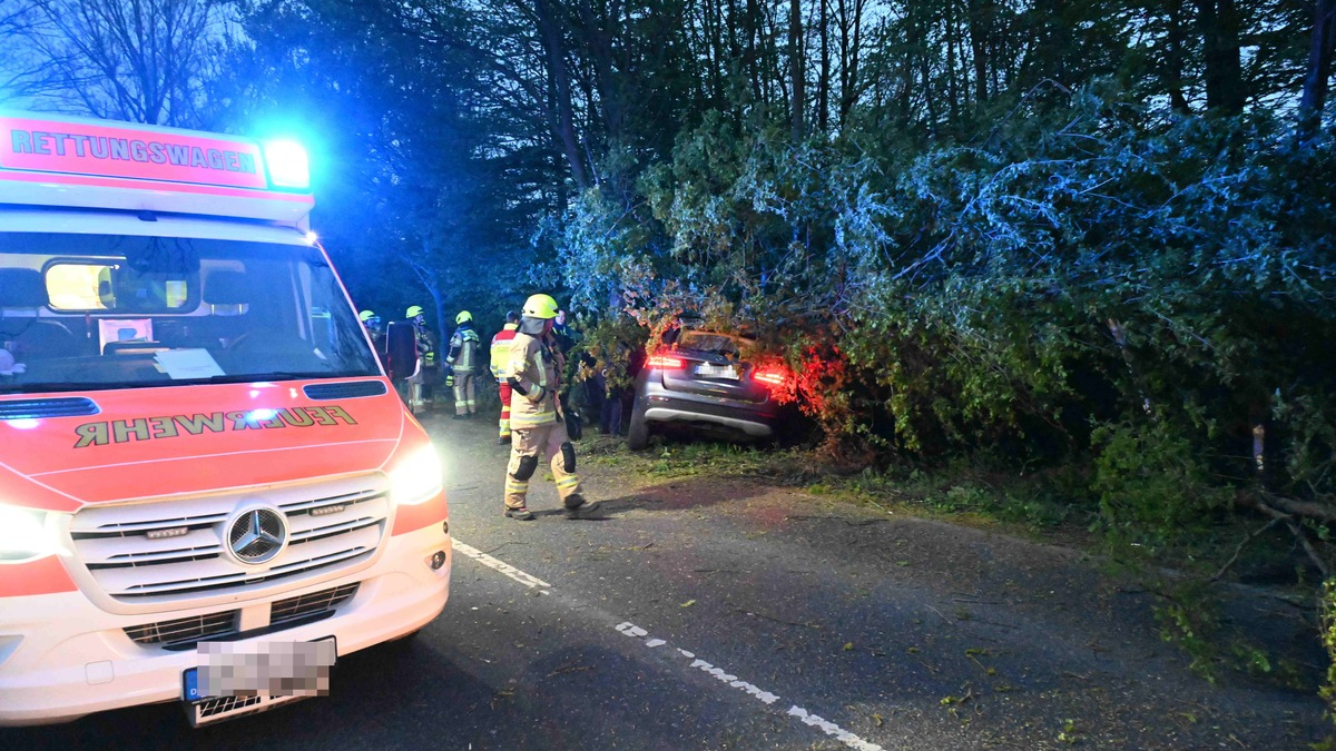 FW Pulheim: PKW prallte auf der K9 gegen Baum - Foto: presseportal.de