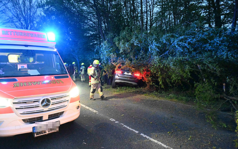 FW Pulheim: PKW prallte auf der K9 gegen Baum - Foto: presseportal.de
