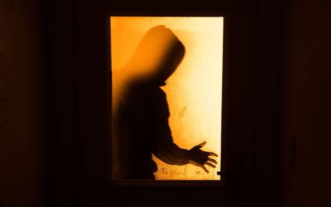 Der Trend zu mehr Kriminalität in Deutschland hat sich verfestigt (Symbolbild). - Foto: Nicolas Armer/dpa