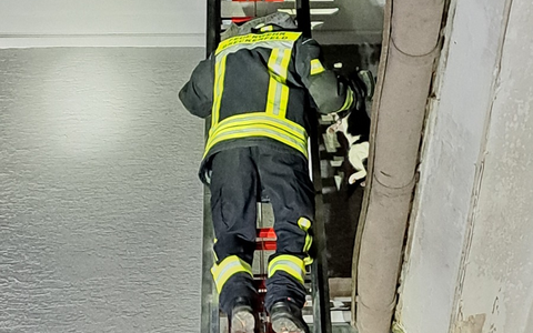 FW-EN: Tierrettung - Feuerwehr befreit Katze vom Dach - Foto: presseportal.de