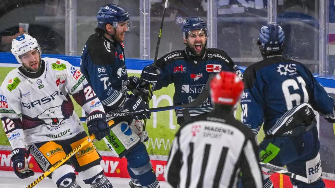 Die Straubing Tigers (blaue Trikots) holten in der Serie gegen die Eisbären den ersten Sieg. - Bild: Armin Weigel/dpa