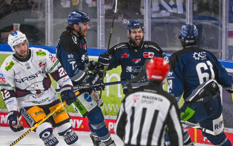 Die Straubing Tigers (blaue Trikots) holten in der Serie gegen die Eisbären den ersten Sieg. - Foto: Armin Weigel/dpa Die Straubing Tigers (blaue Trikots) holten in der Serie gegen die Eisbären den ersten Sieg. - Foto: Armin Weigel/dpa