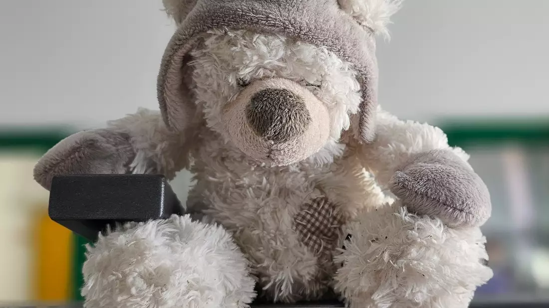 LPI-NDH: Teddy wartet sehnsüchtig seit über einem Jahr auf seinem Besitzer - Bild: presseportal.de