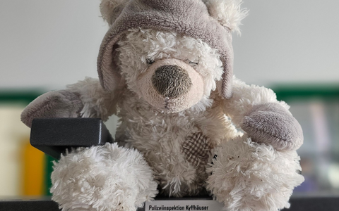 LPI-NDH: Teddy wartet sehnsüchtig seit über einem Jahr auf seinem Besitzer - Foto: presseportal.de