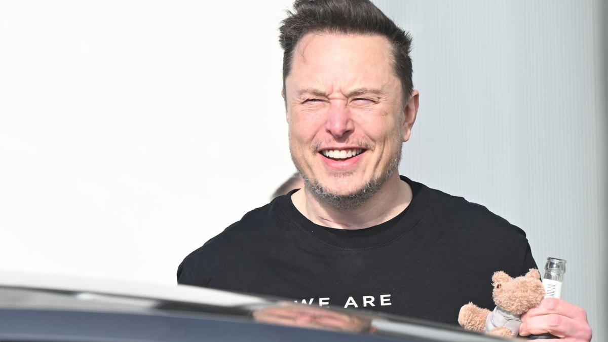 Gegen X-Chef Elon Musk wird in Brasilien ermittelt. - Foto: Sebastian Gollnow/dpa