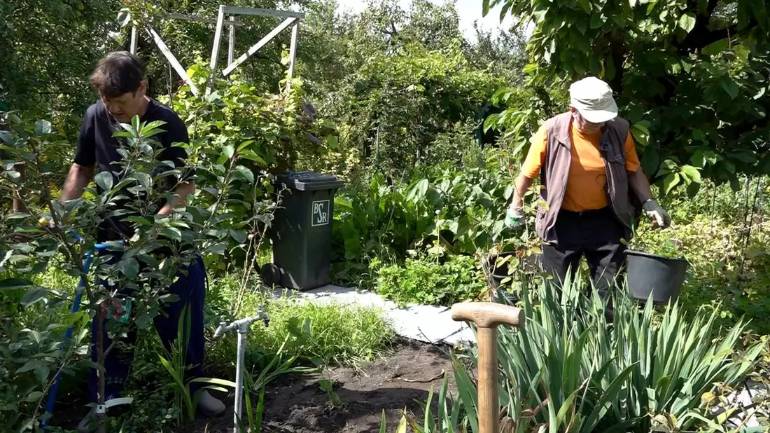 Diese Woche bei Von Hecke zu Hecke - Bunte Beetgeschichten: Ernteglück und Gartenfreuden in der Kleingartenanlage Bornholm - Bild: presseportal.de