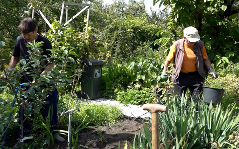 Diese Woche bei Von Hecke zu Hecke - Bunte Beetgeschichten: Ernteglück und Gartenfreuden in der Kleingartenanlage Bornholm - Foto: presseportal.de