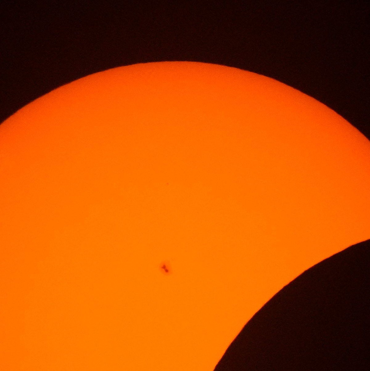 Sonnenflecken sind während der Anfangsphase der Sonnenfinsternis zu sehen. - Foto: Julio Cortez/AP