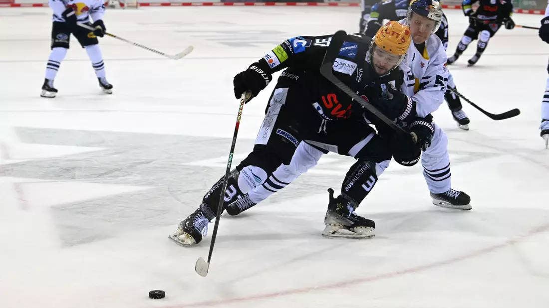 Die Fischtown Pinguins stehen im DEL-Finale. - Bild: Carmen Jaspersen/dpa
