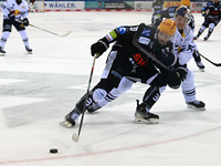 Die Fischtown Pinguins stehen im DEL-Finale. - Foto: Carmen Jaspersen/dpa