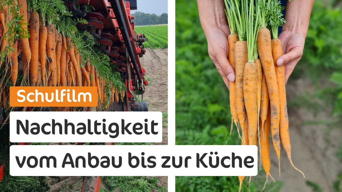 Schulfilm: Möhren, Superfood für eine nachhaltige Zukunft - Foto: presseportal.de