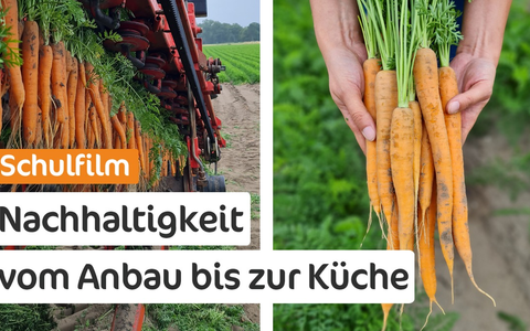 Schulfilm: Möhren, Superfood für eine nachhaltige Zukunft - Foto: presseportal.de