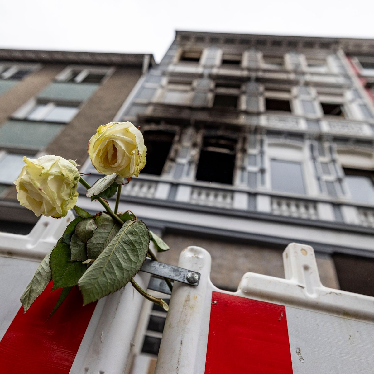Eine weiße Rose an einer Absperrbake vor dem Brandort in Solingen am 27. März. - Foto: Christoph Reichwein/dpa