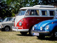 Ein Volkswagen T1 und ein VW-Käfer beim Bockhorner Oldtimermarkt. - Foto: Hauke-Christian Dittrich/dpa