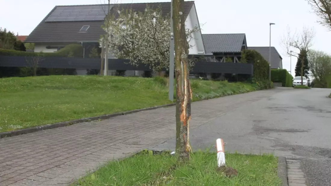 POL-HX: Erst Baum und Poller beschädigt und dann geflüchtet - Polizei sucht Zeugen - Bild: presseportal.de