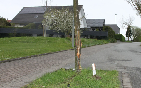 POL-HX: Erst Baum und Poller beschädigt und dann geflüchtet - Polizei sucht Zeugen - Foto: presseportal.de