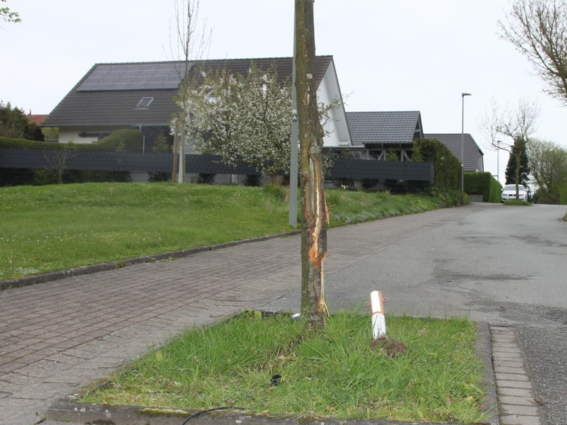 POL-HX: Erst Baum und Poller beschädigt und dann geflüchtet - Polizei sucht Zeugen - Foto: presseportal.de