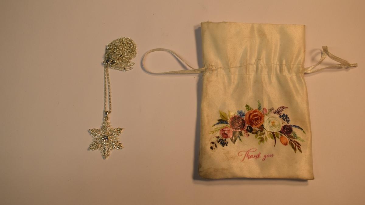 POL-EL: Meppen - Eigentümer/in gesucht (Fotos) - Foto: presseportal.de