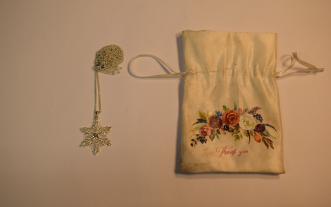 POL-EL: Meppen - Eigentümer/in gesucht (Fotos) - Foto: presseportal.de