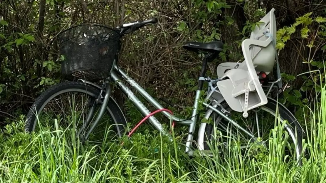 POL-PDLD: Fahrrad aufgefunden - Bild: presseportal.de