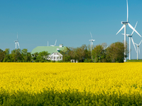Rapsblüte 2024 / Rapsanbau schafft Versorgungssicherheit - Foto: presseportal.de