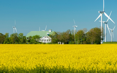 Rapsblüte 2024 / Rapsanbau schafft Versorgungssicherheit - Foto: presseportal.de