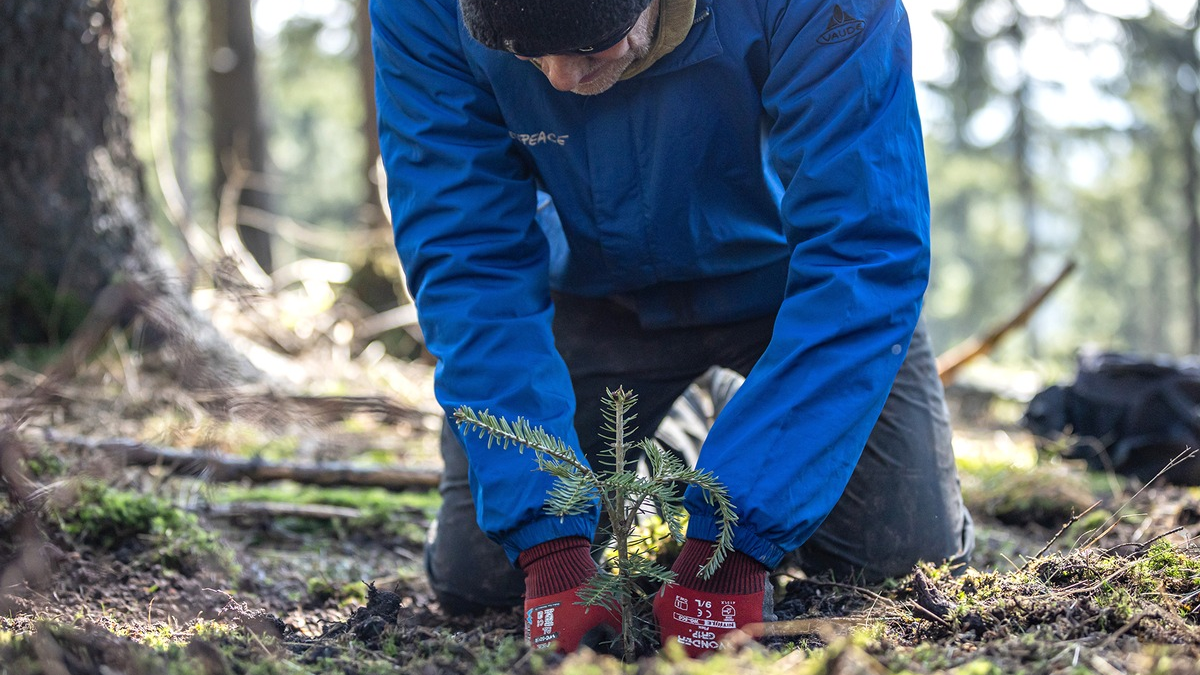 Bergwaldprojekt e.V. als herausragendes UN-Dekade-Projekt ausgezeichnet - Foto: presseportal.de