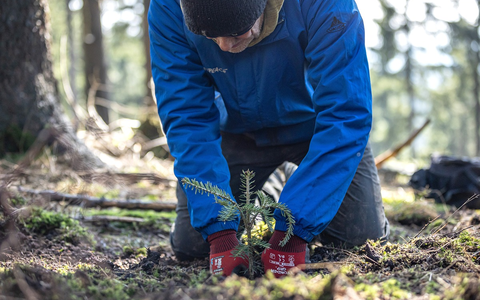 Bergwaldprojekt e.V. als herausragendes UN-Dekade-Projekt ausgezeichnet - Foto: presseportal.de
