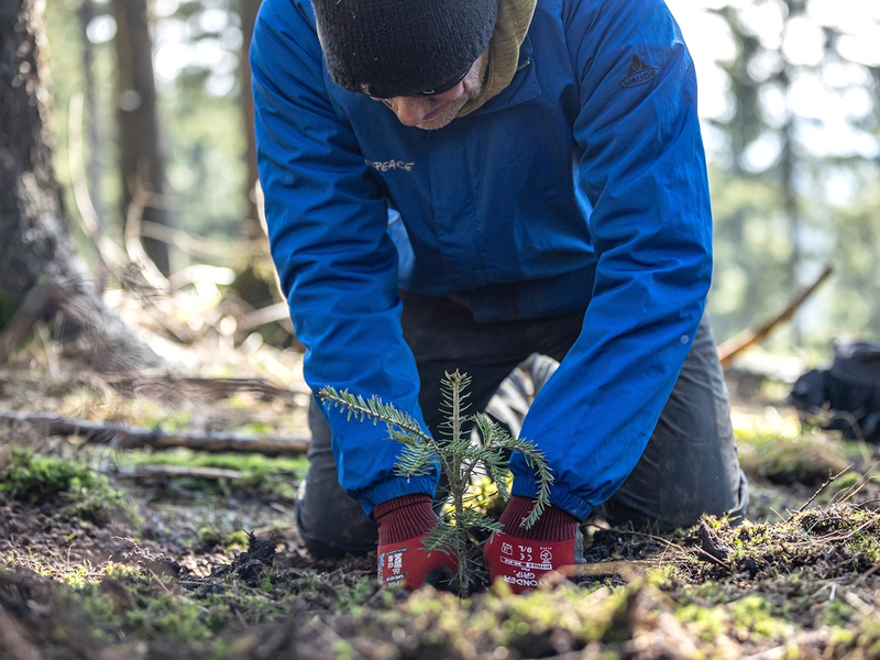 Bergwaldprojekt e.V. als herausragendes UN-Dekade-Projekt ausgezeichnet - Foto: presseportal.de