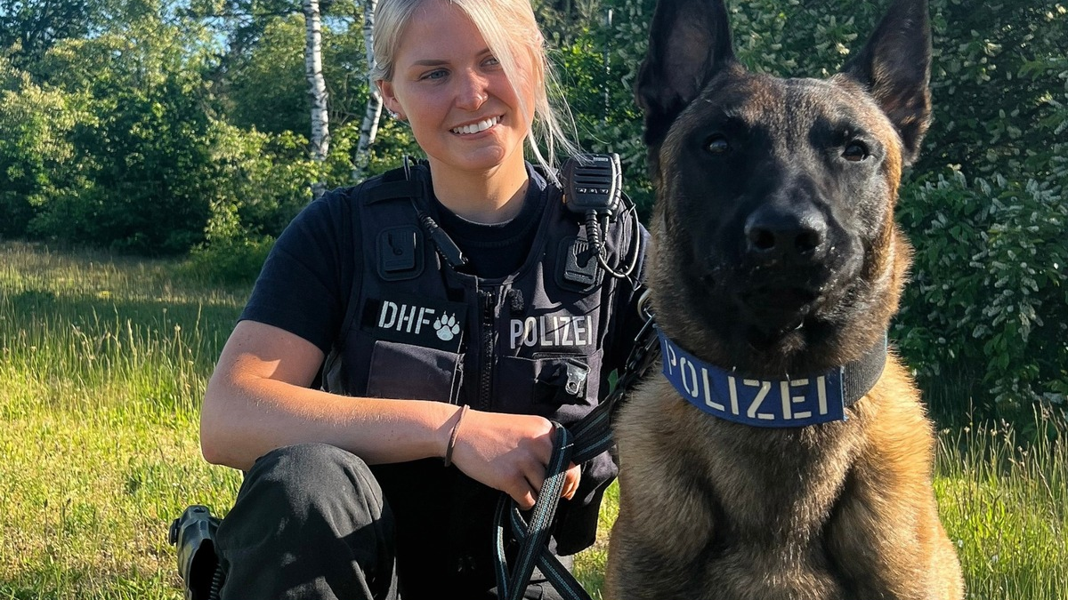 POL-DU: Marxloh: Auf frischer Tat ertappt - Polizeihund Yondu stellt mutmaßliche Einbrecher - Foto: presseportal.de