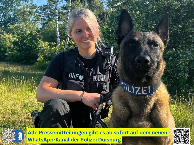 POL-DU: Marxloh: Auf frischer Tat ertappt - Polizeihund Yondu stellt mutmaßliche Einbrecher - Foto: presseportal.de