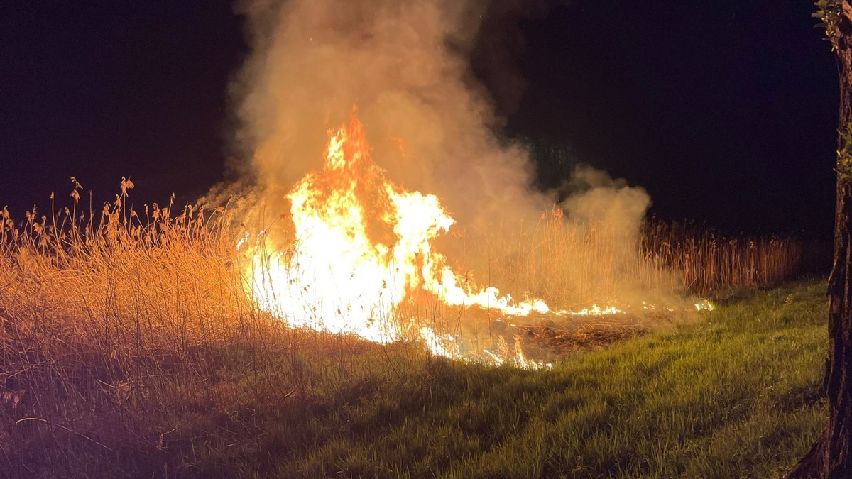 FW Reichenau: Schilfbrand schnell gelöscht, Reichenau L221, 14.04.2024 - Foto: presseportal.de