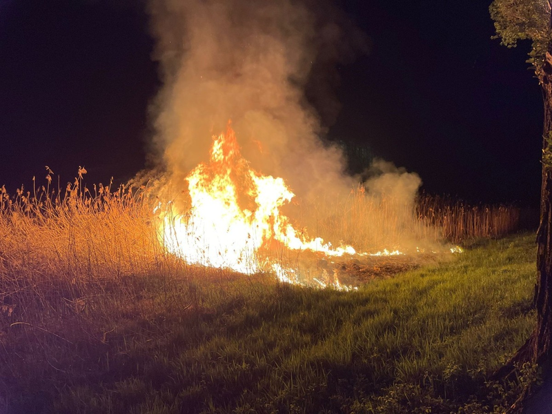FW Reichenau: Schilfbrand schnell gelöscht, Reichenau L221, 14.04.2024 - Foto: presseportal.de