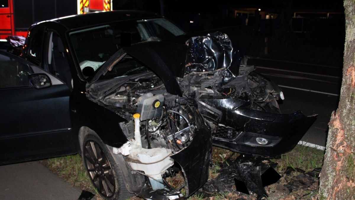 POL-MI: Pkw wird von Baum gestoppt - Foto: presseportal.de